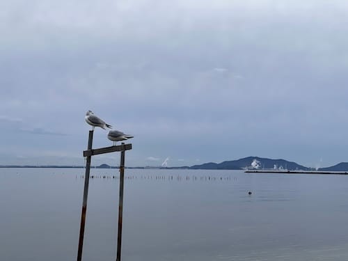 春日浦海岸から渥美半島