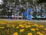 春日浦公園　花壇と遊具