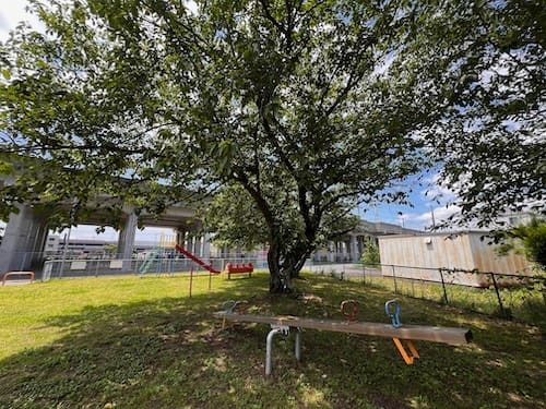 川東児童遊び場 木陰