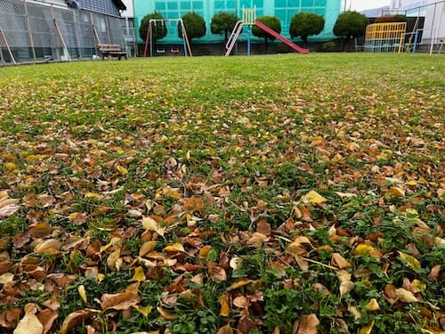宮成中央児童遊園地 – 蒲郡の公園