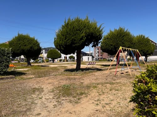 カイヅカイブキ