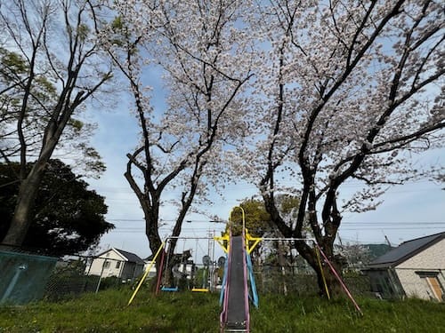 水竹児童遊園地 – 蒲郡の公園
