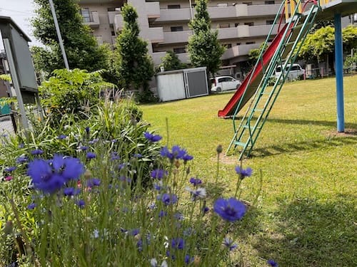 西ノ浜児童遊び場 – 蒲郡の公園