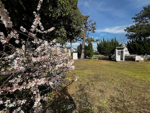 西沢児童遊園地　春