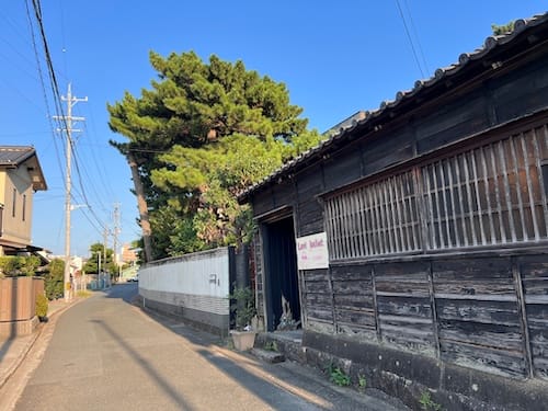 西沢児童遊園地　栄町の通りとマツ