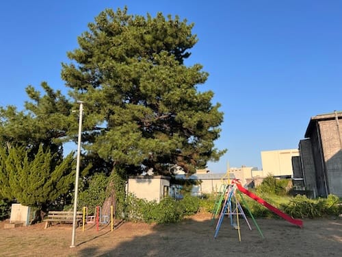 西沢児童遊園地 – 蒲郡の公園