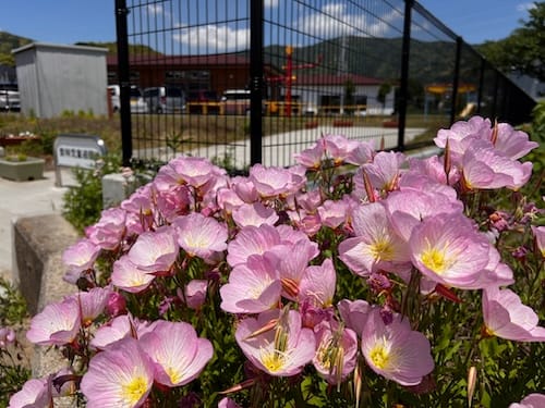 奥林児童遊園地 – 蒲郡の公園