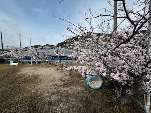 清田児童遊園地・新箱根 – 蒲郡の公園