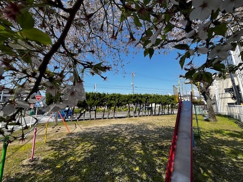 水神チビッコ広場 春桜咲く