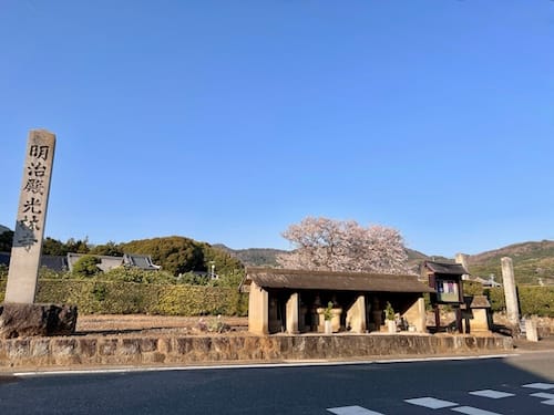 豊岡東児童遊園地　前の通りと桜