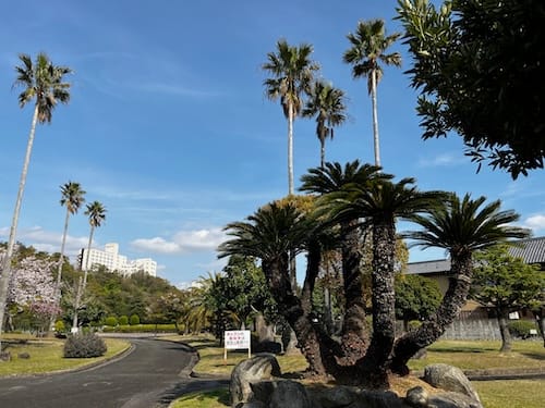 若宮公園 – 蒲郡の公園