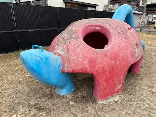 弥生公園　カメ