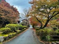 鳳来寺参道 屋根屋前