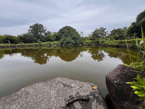 蒲郡緑地　池