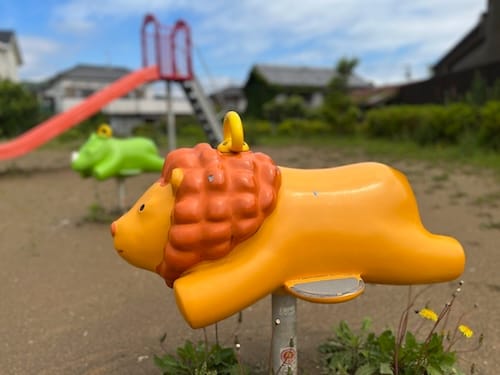 ライオンとイノシシの遊具