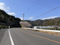 清田町枯木　枯木堂前市道