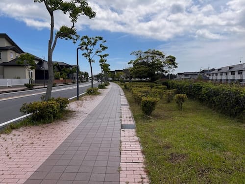 春日浦緑地　歩道に沿って