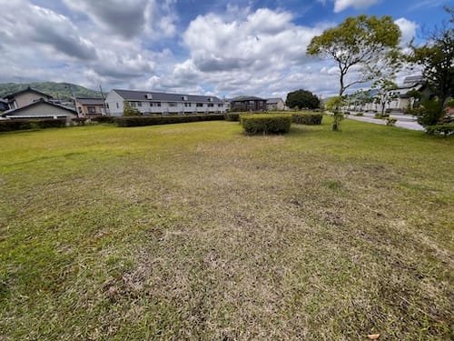 春日浦緑地　緑地内