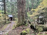岡田耿陽 霧深し句碑 鳳来寺