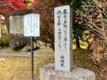 山頭火句碑「春雨の石仏みんな濡れたまふ」「水音の千年万年ながるる」鳳来寺