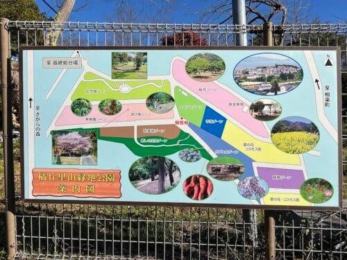 橘丘里山緑地 – 蒲郡の公園