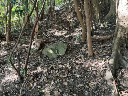 奥の院裏山の殺生石?