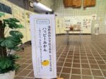 蒲郡西部小学校5年生「ハッピーみかん」学習展示 蒲郡図書館