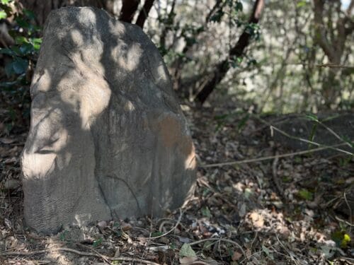 権現山古墳・市内最古の「横穴式石室」