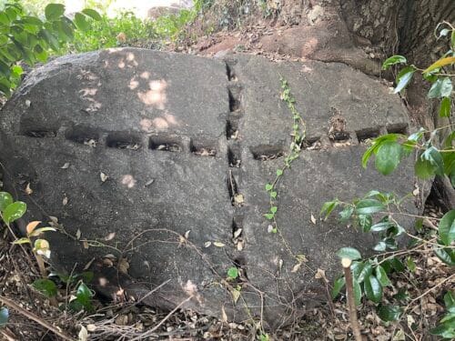 医王神古墳・五井古墳群で唯一現存する円墳
