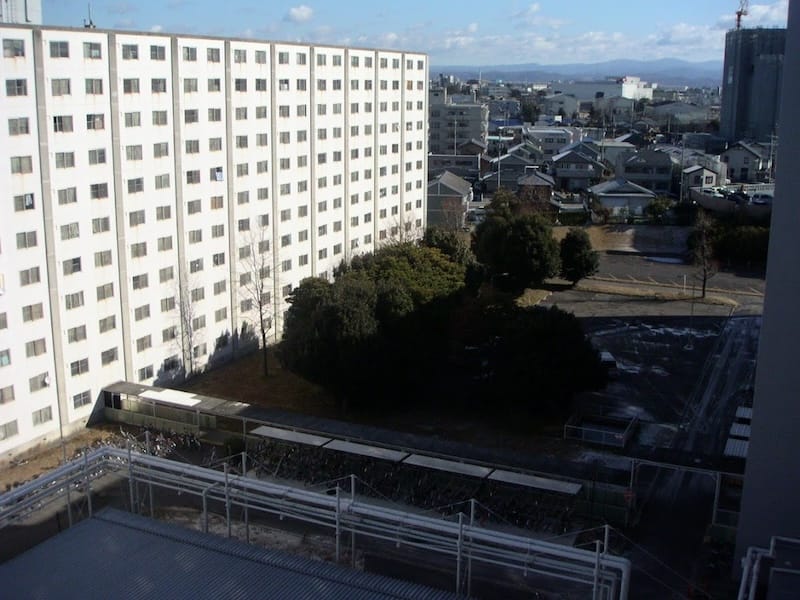 ブルーシート・浅尾大輔