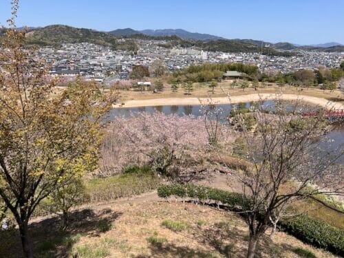 東三河ふるさと公園：124ヘクタールの広大な自然を歩く