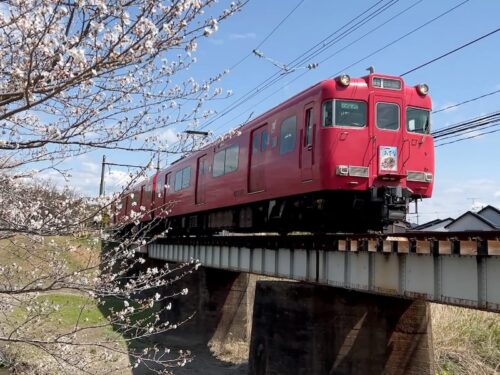 拾石川の桜並木：赤い電車と鯉のぼりが織りなす蒲郡の春景