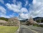 市道南側から