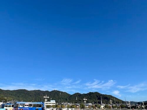 マラ山へ：豊かな巨木と歴史が息づく尾根歩き