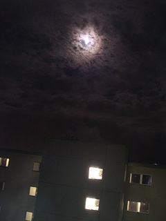 田原寮から見えた月