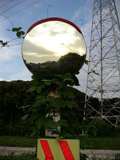 なにやってるんだろう、オレ