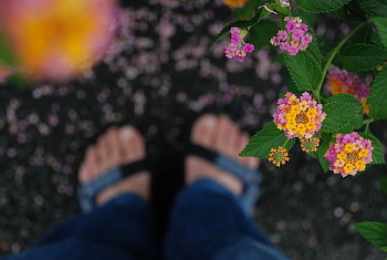ボクの足と花