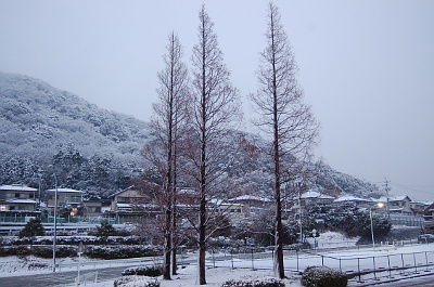 田原の雪　2007年