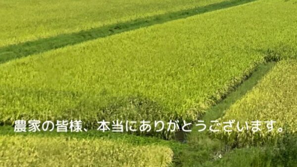 もとむら伸子(本村伸子） (@motomura_nobuko) on X